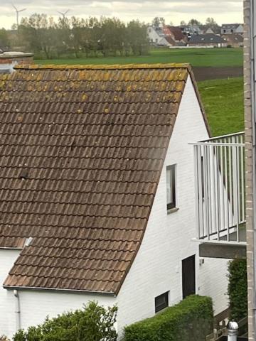 The Pipers Bed and Breakfast Middelkerke Exteriör bild